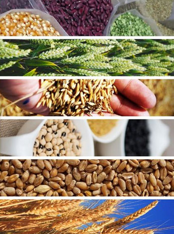 INAS EXIM LLC Commodities Trading