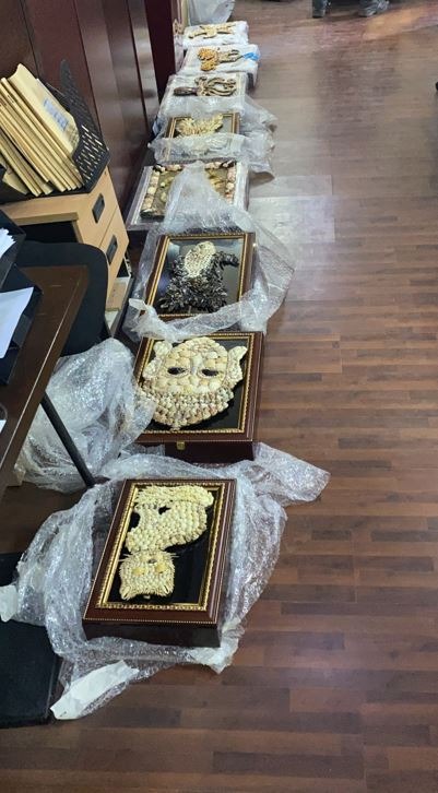 Point of View - Image 5